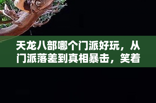 天龙八部哪个门派好玩,从门派落差到真相暴击,笑着骂完天龙八部3,我哭着又上线了 天龙八部哪个门派好玩,从门派落差到真相暴击,笑着骂完天龙八部3,我哭着又上线了