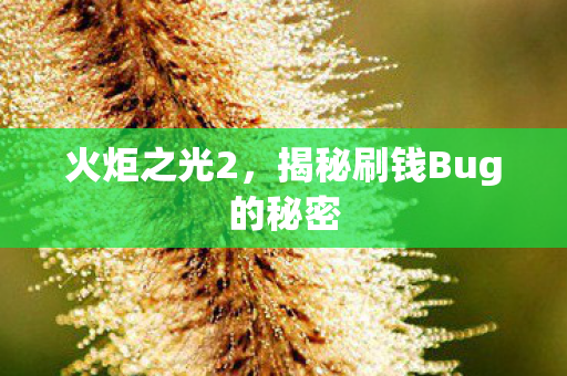 揭秘刷钱Bug的秘密图片