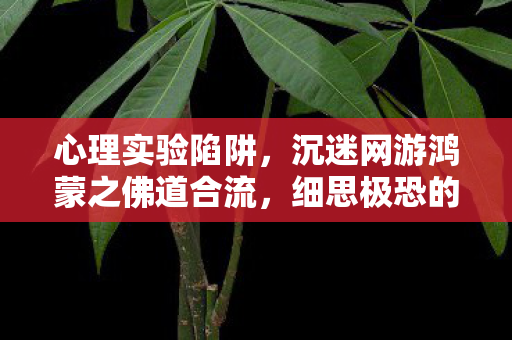 心理实验陷阱,沉迷网游鸿蒙之佛道合流,细思极恐的自我囚禁 心理实验陷阱,沉迷网游鸿蒙之佛道合流,细思极恐的自我囚禁