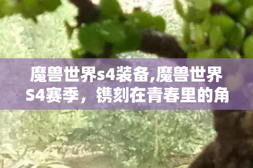 魔兽世界s4装备,魔兽世界S4赛季,镌刻在青春里的角斗场热血印记 魔兽世界s4装备,魔兽世界S4赛季,镌刻在青春里的角斗场热血印记