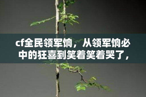 cf全民领军饷,从领军饷必中的狂喜到笑着笑着哭了,我抽自己嘴巴的落差真相 cf全民领军饷,从领军饷必中的狂喜到笑着笑着哭了,我抽自己嘴巴的落差真相