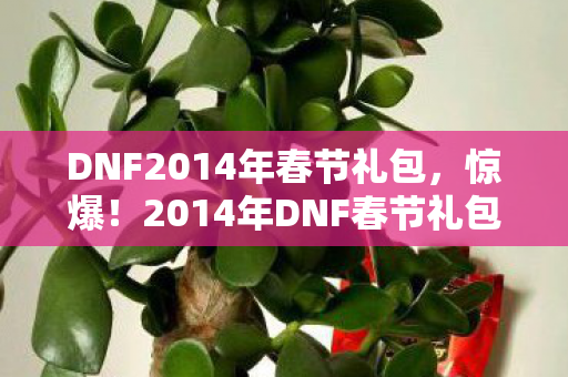 DNF2014年春节礼包,惊爆!2014年DNF春节礼包价格大揭秘,错过血亏的心得体验! DNF2014年春节礼包,惊爆!2014年DNF春节礼包价格大揭秘,错过血亏的心得体验!