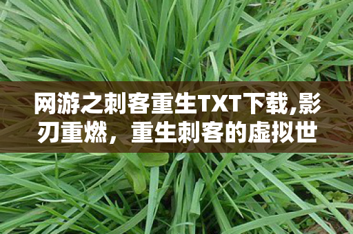 网游之刺客重生TXT下载,影刃重燃,重生刺客的虚拟世界登顶路 网游之刺客重生TXT下载,影刃重燃,重生刺客的虚拟世界登顶路