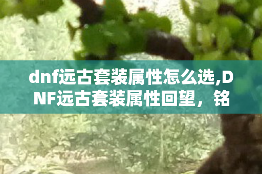 dnf远古套装属性怎么选,DNF远古套装属性回望,铭刻在旧版本里的刷图荣光 dnf远古套装属性怎么选,DNF远古套装属性回望,铭刻在旧版本里的刷图荣光