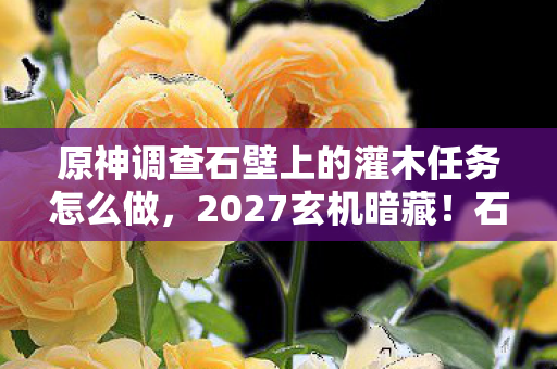 原神调查石壁上的灌木任务怎么做,2027玄机暗藏!石壁灌木沉默低语,这游戏究竟给了我什么? 原神调查石壁上的灌木任务怎么做,2027玄机暗藏!石壁灌木沉默低语,这游戏究竟给了我什么?