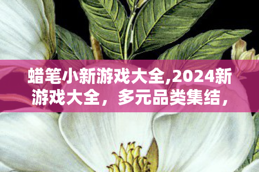 蜡笔小新游戏大全,2024新游戏大全,多元品类集结,解锁全场景休闲新体验 蜡笔小新游戏大全,2024新游戏大全,多元品类集结,解锁全场景休闲新体验