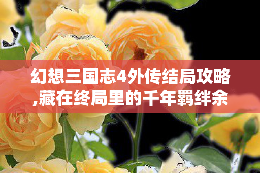 幻想三国志4外传结局攻略,藏在终局里的千年羁绊余温 幻想三国志4外传结局攻略,藏在终局里的千年羁绊余温