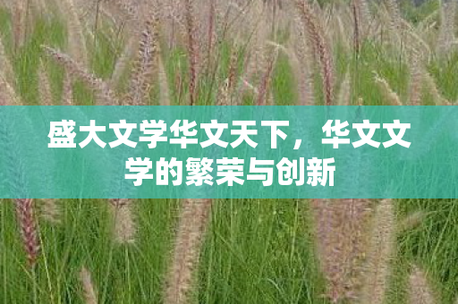华文文学的繁荣与创新图片