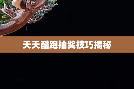 天天酷跑抽奖技巧揭秘图片