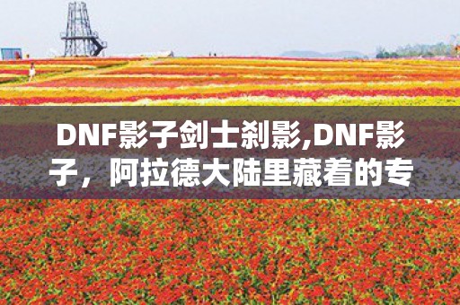 DNF影子剑士刹影,DNF影子,阿拉德大陆里藏着的专属青春印记 DNF影子剑士刹影,DNF影子,阿拉德大陆里藏着的专属青春印记