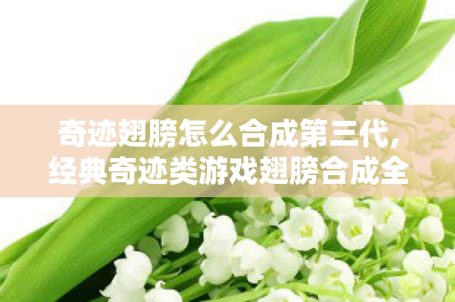 奇迹翅膀怎么合成第三代,经典奇迹类游戏翅膀合成全攻略,一步步打造专属强力神翼 奇迹翅膀怎么合成第三代,经典奇迹类游戏翅膀合成全攻略,一步步打造专属强力神翼