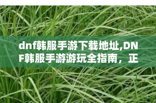dnf韩服手游下载地址,DNF韩服手游游玩全指南,正版渠道获取与入门体验攻略 dnf韩服手游下载地址,DNF韩服手游游玩全指南,正版渠道获取与入门体验攻略