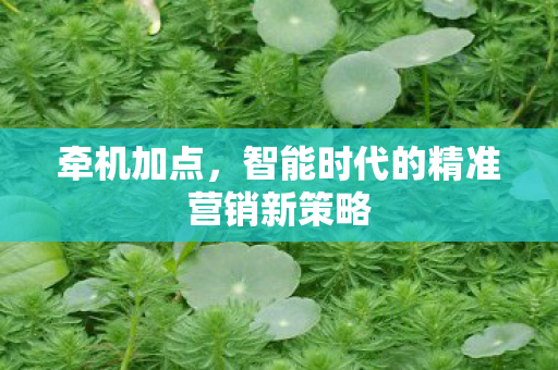 智能时代的精准营销新策略图片
