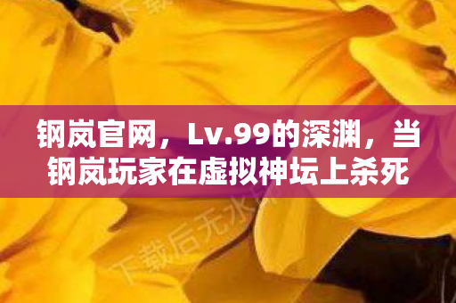 钢岚官网,Lv.99的深渊,当钢岚玩家在虚拟神坛上杀死自己的灵魂 钢岚官网,Lv.99的深渊,当钢岚玩家在虚拟神坛上杀死自己的灵魂