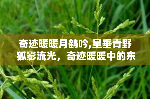 奇迹暖暖月鹤吟,星垂青野 狐影流光，奇迹暖暖中的东方星宿绮梦