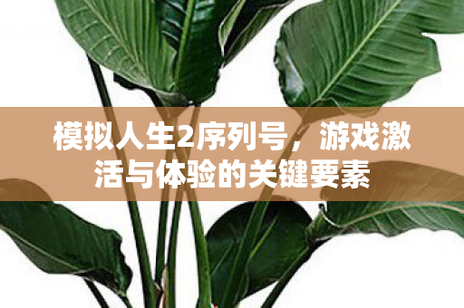 游戏激活与体验的关键要素图片