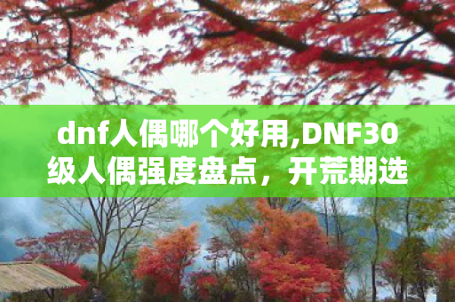 dnf人偶哪个好用,DNF30级人偶强度盘点，开荒期选对直接少走一半弯路
