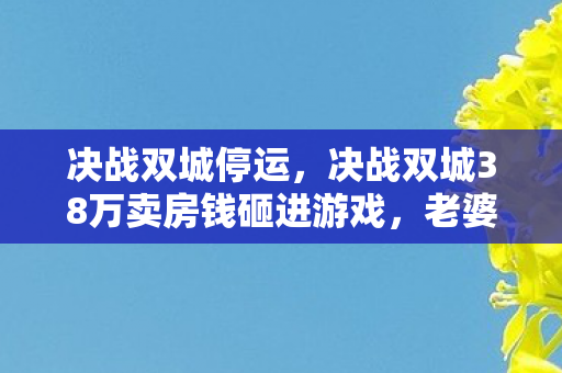 决战双城停运,决战双城38万卖房钱砸进游戏,老婆签完离婚协议我才看清这深渊! 决战双城停运,决战双城38万卖房钱砸进游戏,老婆签完离婚协议我才看清这深渊!