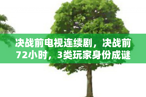决战前电视连续剧，决战前72小时，3类玩家身份成谜，谁在深夜对着屏幕默默流泪？