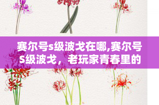赛尔号s级波戈在哪,赛尔号S级波戈，老玩家青春里的组队挑战初心印记