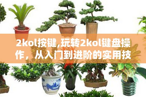 2kol按键,玩转2kol键盘操作，从入门到进阶的实用技巧指南