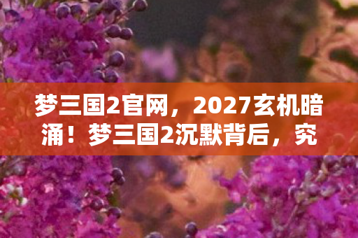 梦三国2官网，2027玄机暗涌！梦三国2沉默背后，究竟给了我什么？