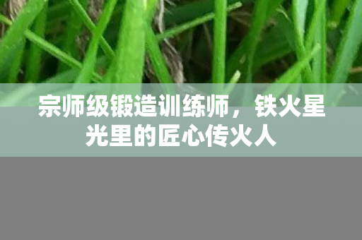 宗师级锻造训练师,铁火星光里的匠心传火人 宗师级锻造训练师,铁火星光里的匠心传火人