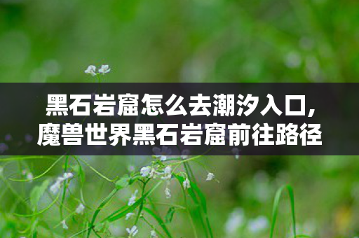 黑石岩窟怎么去潮汐入口,魔兽世界黑石岩窟前往路径全指南 新手玩家零迷路攻略