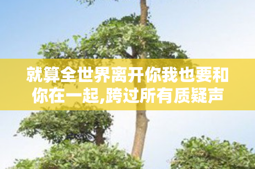 就算全世界离开你我也要和你在一起,跨过所有质疑声浪，我只想稳稳站在你身旁