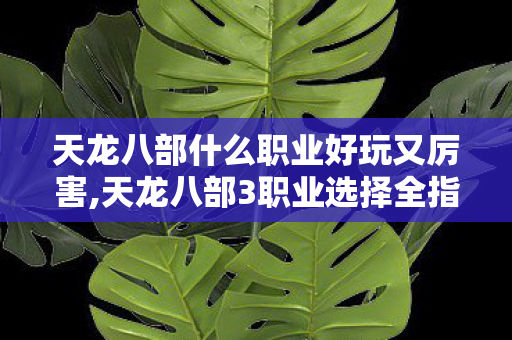 天龙八部什么职业好玩又厉害,天龙八部3职业选择全指南，适配不同游玩偏好的高体验职业推荐