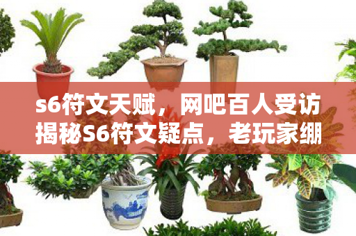 s6符文天赋,网吧百人受访揭秘S6符文疑点,老玩家绷不住泪洒当场 s6符文天赋,网吧百人受访揭秘S6符文疑点,老玩家绷不住泪洒当场