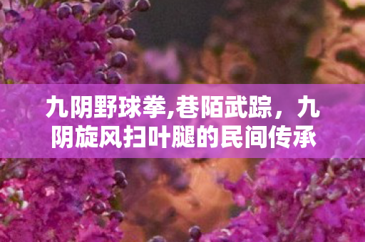 九阴野球拳,巷陌武踪，九阴旋风扫叶腿的民间传承