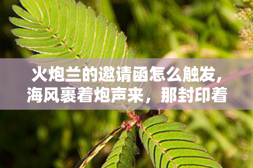 火炮兰的邀请函怎么触发,海风裹着炮声来,那封印着火炮兰头像的邀请函 火炮兰的邀请函怎么触发,海风裹着炮声来,那封印着火炮兰头像的邀请函