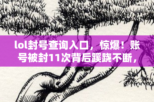 lol封号查询入口，惊爆！账号被封11次背后蹊跷不断，真相揭晓让人后背发凉