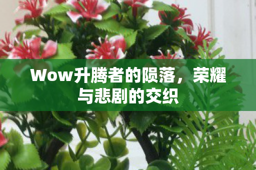 Wow升腾者的陨落图片