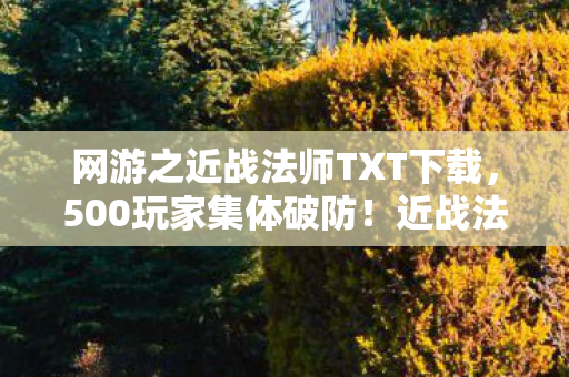 网游之近战法师TXT下载，500玩家集体破防！近战法师竟藏惊天疑点，全网笑到绷不住