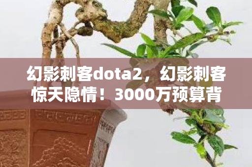 幻影刺客dota2，幻影刺客惊天隐情！3000万预算背后竟藏着让玩家吓一跳的秘密