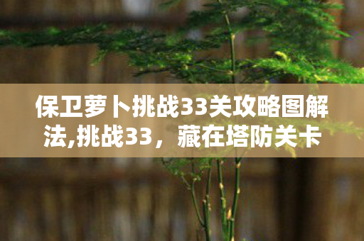 保卫萝卜挑战33关攻略图解法,挑战33,藏在塔防关卡里的旧时光小冒险 保卫萝卜挑战33关攻略图解法,挑战33,藏在塔防关卡里的旧时光小冒险
