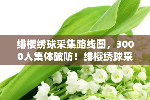 绯樱绣球采集路线图，3000人集体破防！绯樱绣球采集路线背后竟藏着惊天谜团？