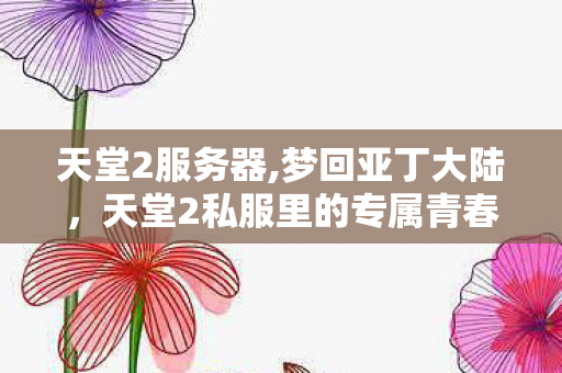 天堂2服务器,梦回亚丁大陆,天堂2私服里的专属青春印记 天堂2服务器,梦回亚丁大陆,天堂2私服里的专属青春印记