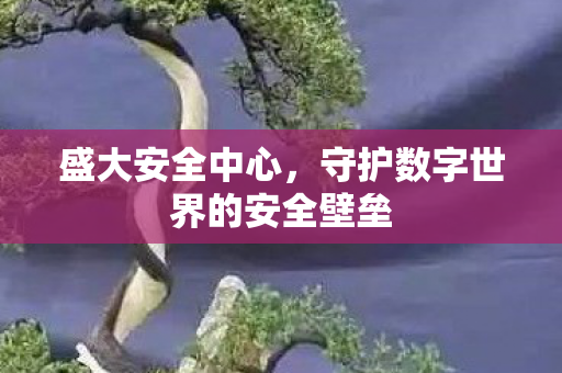 守护数字世界的安全壁垒图片