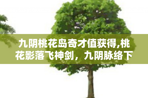 九阴桃花岛奇才值获得,桃花影落飞神剑,九阴脉络下的桃花岛武学风骨 九阴桃花岛奇才值获得,桃花影落飞神剑,九阴脉络下的桃花岛武学风骨