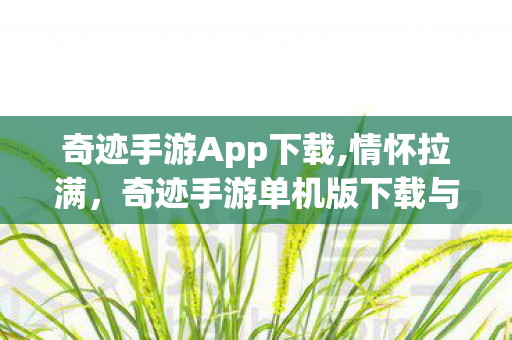 奇迹手游App下载,情怀拉满,奇迹手游单机版下载与游玩体验全攻略 奇迹手游App下载,情怀拉满,奇迹手游单机版下载与游玩体验全攻略