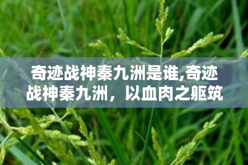 奇迹战神秦九洲是谁,奇迹战神秦九洲,以血肉之躯筑守万家安宁 奇迹战神秦九洲是谁,奇迹战神秦九洲,以血肉之躯筑守万家安宁