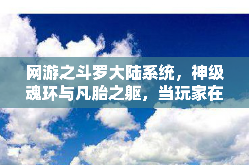 网游之斗罗大陆系统,神级魂环与凡胎之躯,当玩家在2027年同时成为斗罗大陆的囚徒与主宰 网游之斗罗大陆系统,神级魂环与凡胎之躯,当玩家在2027年同时成为斗罗大陆的囚徒与主宰