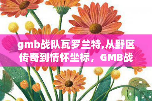 gmb战队瓦罗兰特,从野区传奇到情怀坐标,GMB战队的热血电竞旅程 gmb战队瓦罗兰特,从野区传奇到情怀坐标,GMB战队的热血电竞旅程
