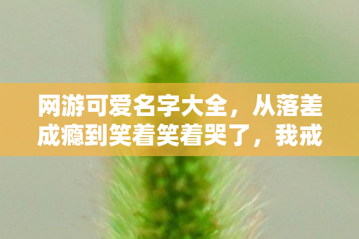 网游可爱名字大全,从落差成瘾到笑着笑着哭了,我戒不掉的网游真相竟是…… 网游可爱名字大全,从落差成瘾到笑着笑着哭了,我戒不掉的网游真相竟是……