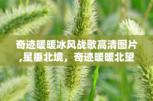 奇迹暖暖冰风战歌高清图片,星垂北境,奇迹暖暖北望壁水貐的衣袂星踪 奇迹暖暖冰风战歌高清图片,星垂北境,奇迹暖暖北望壁水貐的衣袂星踪