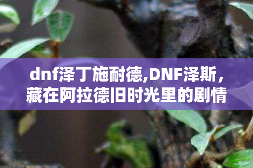 dnf泽丁施耐德,DNF泽斯,藏在阿拉德旧时光里的剧情引路人 dnf泽丁施耐德,DNF泽斯,藏在阿拉德旧时光里的剧情引路人