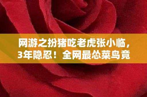 网游之扮猪吃老虎张小临，3年隐忍！全网最怂菜鸟竟是跨平台游戏教父？